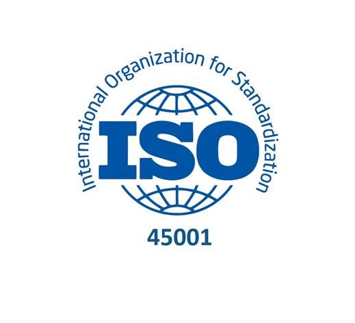 ISO 45001:2018 Occupational Health and Safety Management Systems